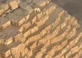 كلب “بلدي” مصري يتجول على سفح هرم خوفو: واقعة طريفة تثير سخرية رواد التواصل الاجتماعي