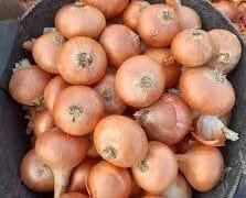 اسعار الثوم والبصل